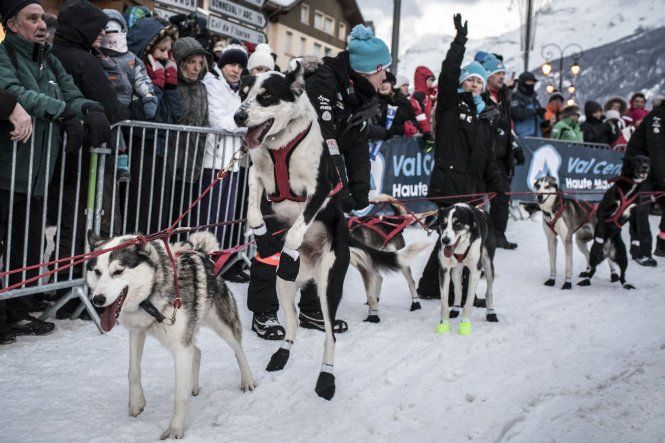 Carrera de trineos tirado por perros La Grande Odisea