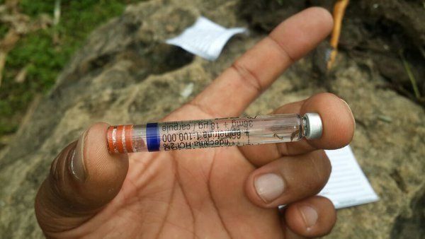 ICGES desarrollará aplicación para recolectar y enviar información de criaderos de mosquitos