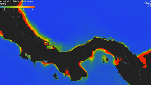 El golfo de Panamá pierde su pulso natural El golfo de Panamá pierde su pulso natural