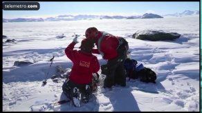 Buscan desvelar los secretos de un microorganismo resistente a la radiación