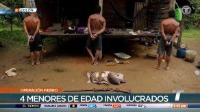 Desarticulan grupo dedicado a la minería ilegal en Colón