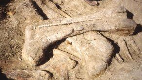 Investigadores dicen haber encontrado la huella de dinosaurio más grande