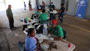 Alcaldía de Panamá&nbsp;