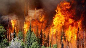 Los bomberos combaten varios incendios en el oeste de EEUU