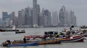 Conasepa denunció el miércoles una serie de irregularidades en cuánto a la emisión de licencias de pesca.