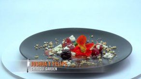 Chiriquí Garden - Felipe y Joshua