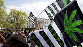EE. UU.: Votantes de 5 estados decidirán si legalizar marihuana