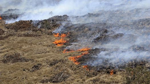 El incendio se originó en el extremo occidental del Área de Entrenamiento Pohakuloa del Ejército de Estados Unido.