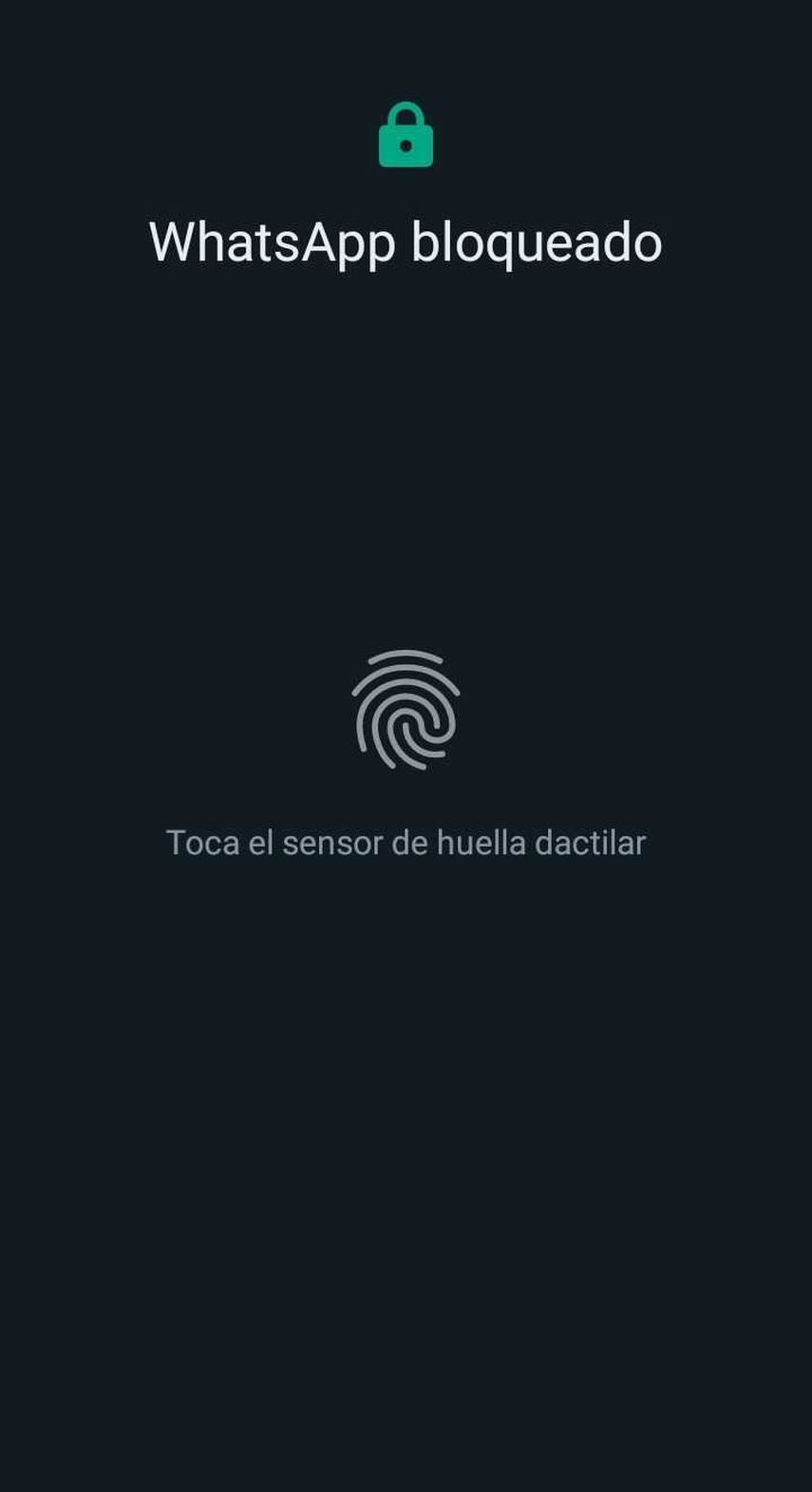 Te mostraremos los fáciles pasos para que puedas aplicar el bloqueo al ingreso al app para los intrusos.