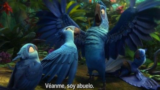 Avance de Rio 2