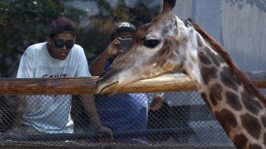 Chile se suma a la tendencia mundial de transformar los zoos en bioparques
