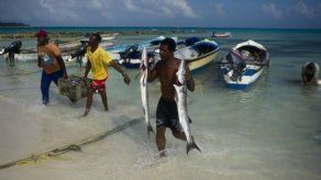 Genética e investigación empujan exportación de marisco colombiano