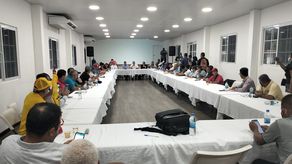 Vistas de la mesa única de diálogo.