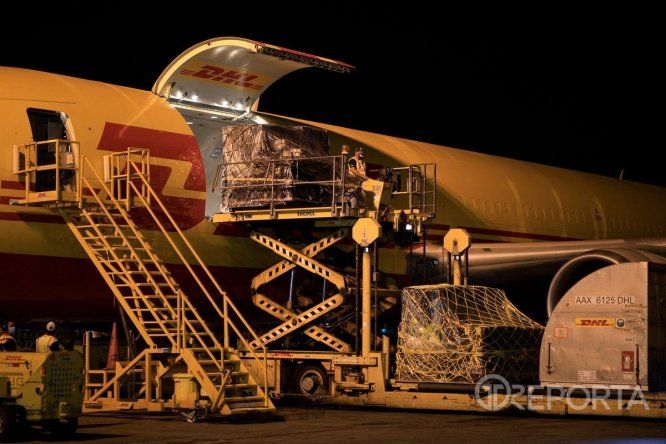 Vuelos humanitarios y de carga concentran esfuerzos en el Aeropuerto de Tocumen