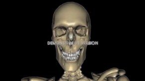 Colombianos crean atlas interactivo que muestra cuerpo humano en 3D