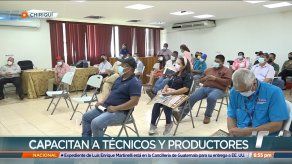 Expertos analizan y buscan la forma de controlar una plaga que afecta los cultivos de cítricos Expertos analizan y buscan la forma de controlar una plaga que afecta los cultivos de cítricos