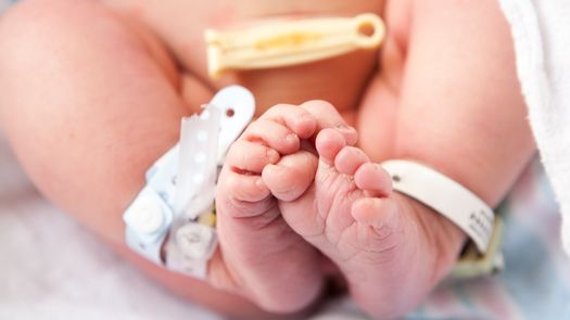 Las pesquisas determinaron que el asesinato fue cometido por orden de una mujer que había tenido un aborto involuntario hace dos meses.
