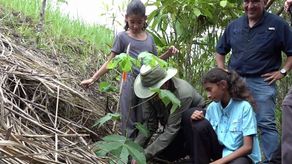 Programa de reforestación 2026 busca recuperar áreas.