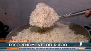 Dueños de fondas y restaurantes denuncian que el arroz no les está rindiendo