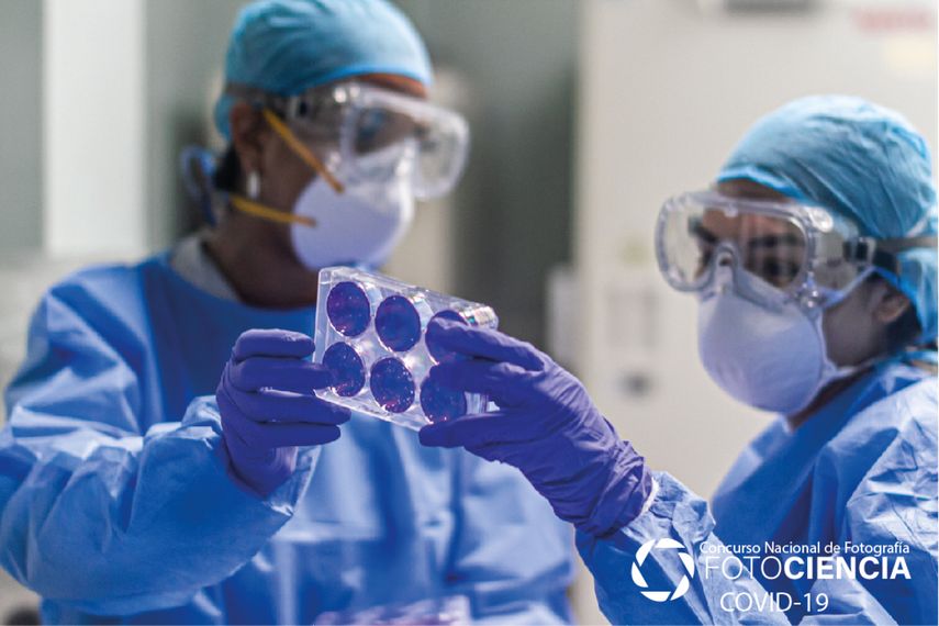 SENACYT abre convocatoria de Mentores