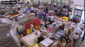 Conozca los tips para no ser víctima de una intoxicación por mariscos