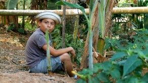 José Medina, el vaquero de Panamá Oeste