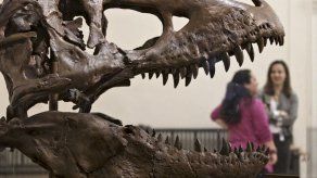 Surge nueva hipótesis sobre evolución de los dinosaurios