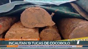 Aumentan delitos ambientales en Panamá