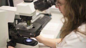 El lavado seminal permite que hombres con virus VIH tengan hijos sanos