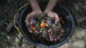 MARGIE MASON y ROBIN McDOWELL