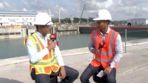 Ampliación del canal debe reforestar más de mil hectáreas de bosque Ampliación del canal debe reforestar más de mil hectáreas de bosque