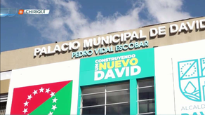 Municipio de David suspende actividades de galleras Municipio de David suspende actividades de galleras