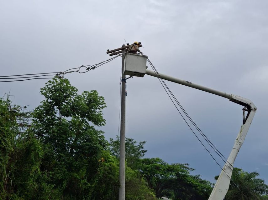 Trabajos de ENSA.&nbsp;