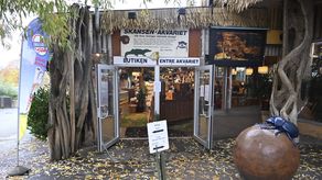 Gracias a una intensa búsqueda que involucró el uso de rayos X, la culebra fue descubierta en un espacio cerrado cerca de su terrario, entre dos paredes.