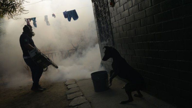 Uruguay recomienda a embarazadas no viajar por virus de Zika