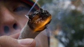 Legalización de la marihuana asoma en debate antidrogas en América