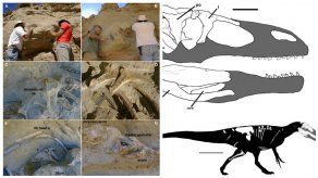 Descubren en Argentina nuevo dinosaurio Gigante Ladrón