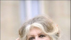 Piden prisión bajo fianza para Brigitte Bardot