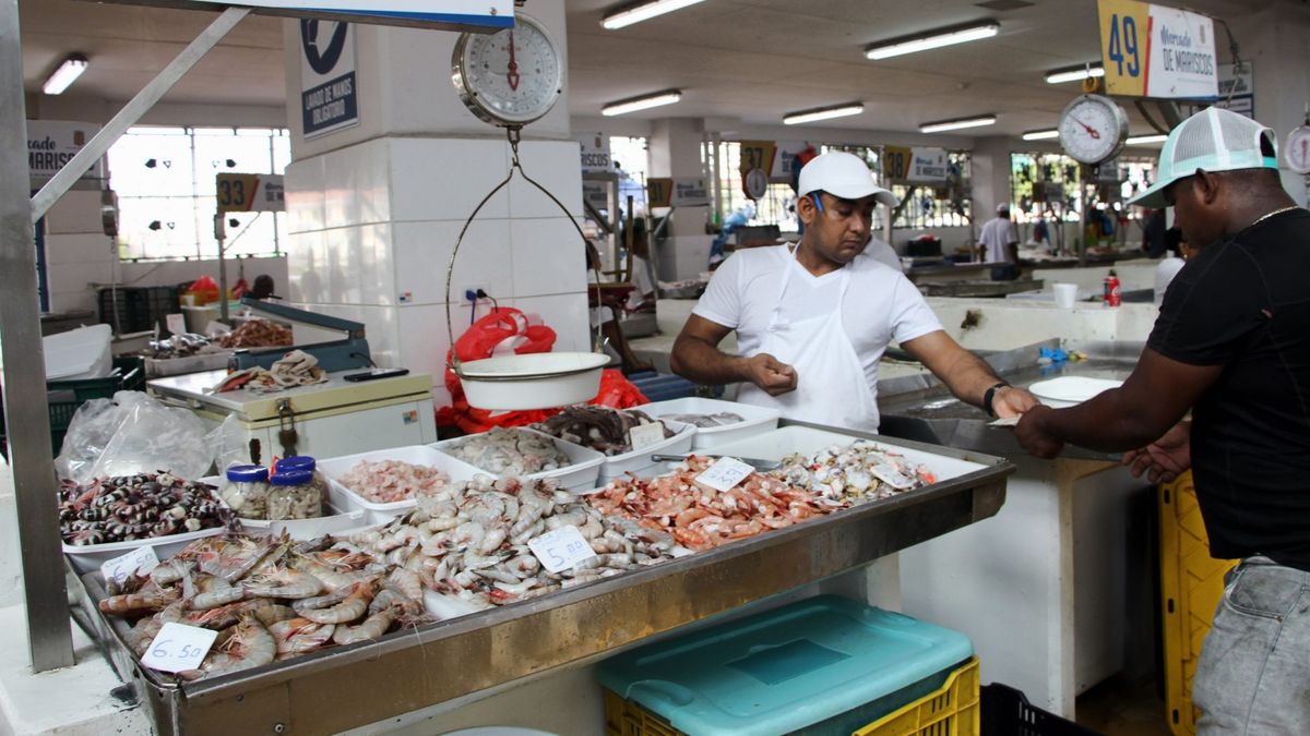 Alcalde Fábrega: Es imperativo la mudanza del Mercado de Mariscos para  mejorar la vialidad