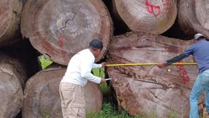 MiAmbiente detecta irregularidades en auditorías