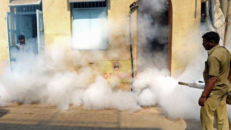 Químico chileno dice haber creado detergente repelente mosquito portador zika