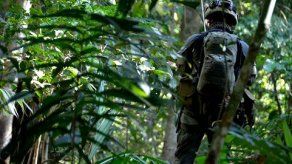 Muere capo del narcotráfico en operación policial en Colombia