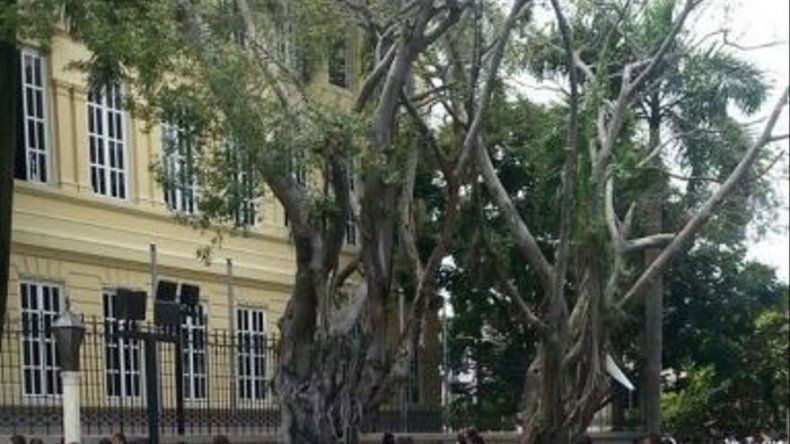 Gremios magisteriales aún sin levantar huelga en sistema educativo