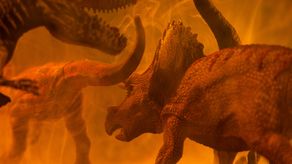 Descubren en Brasil un reptil que puede aportar pistas del origen de los dinosaurios