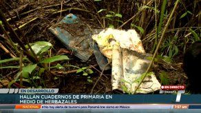 Hallan cuadernos de primaria en medio de herbazales durante búsqueda de menor desaparecida