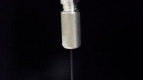 Genes pueden pronosticar enfermedades