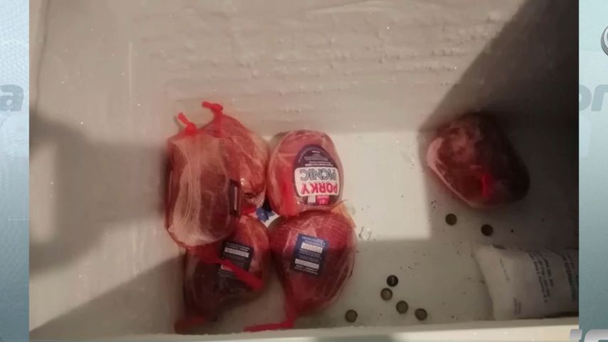 Allanmiento por irregularidades en las Naviferias del IMA.