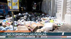 Predios del Instituto Nacional se han convertido en un vertedero