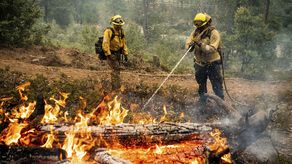 Tras una expansión mínima el lunes, el incendio había consumido 72 kilómetros cuadrados (28 millas cuadradas) de terrenos y el martes estaba contenido en un 26%, afirmó Cal Fire.