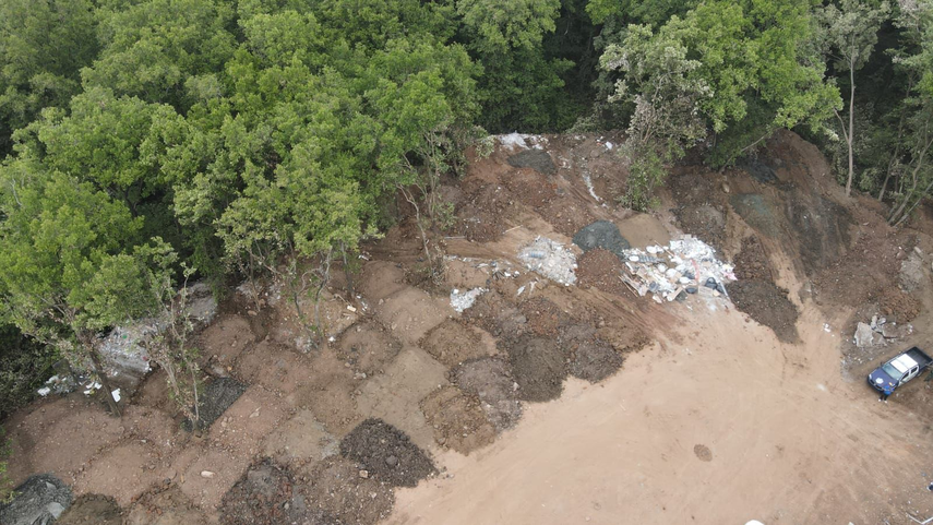 MiAmbiente ordena la paralización de un proyecto por tala ilegal en un manglar del Humedal Bahía de Panamá.